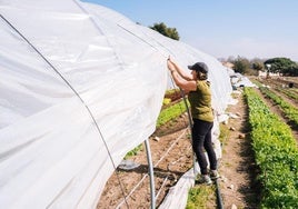 El sector del campo será uno de los más afectados por la reducción de la jornada a 37,5 horas.