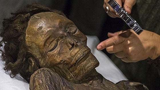 Cultura inicia la retirada de los restos humanos de los museos estatales