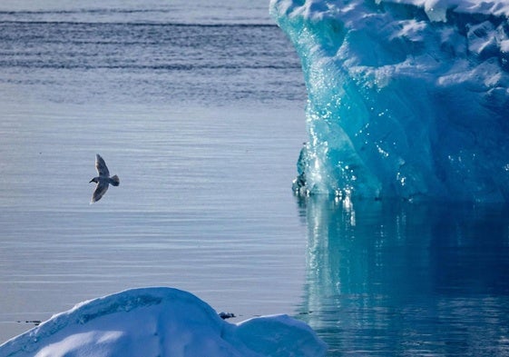 La capa de hielo marino, en mínimos históricos tras un mes de febrero cálido