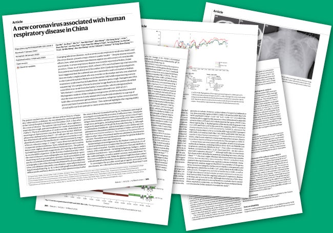 Pantallazo del primer 'paper' sobre la covid-19.