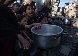 Niños palestinos se empujan para recibir una porción de comida de una cocina benéfica en Beit Lahia, en el norte de la Franja de Gaza.