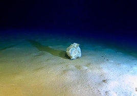 Basura a 5.112 metros de profundidad en el Mediterráneo