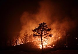 Así se ceban las llamas con el sureste de Corea del Sur