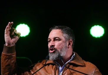 Los de Abascal se quedan solos y culpan a socialistas y populares de «arrastrar» el país a la guerra comercial