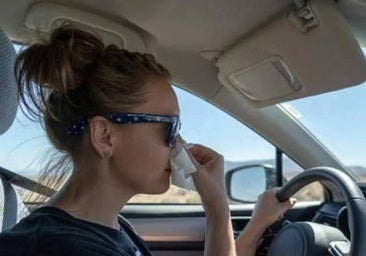 Cómo evitar que te dé alergia conduciendo