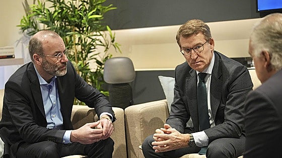 Weber afirma que el PPE será «una roca» frente a los populismos «que quieren sentarse con Trump»