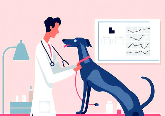 Razas de perros y gatos con problemas de salud 'de serie'...¿conviene contratar un seguro?