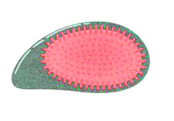 Desenredante