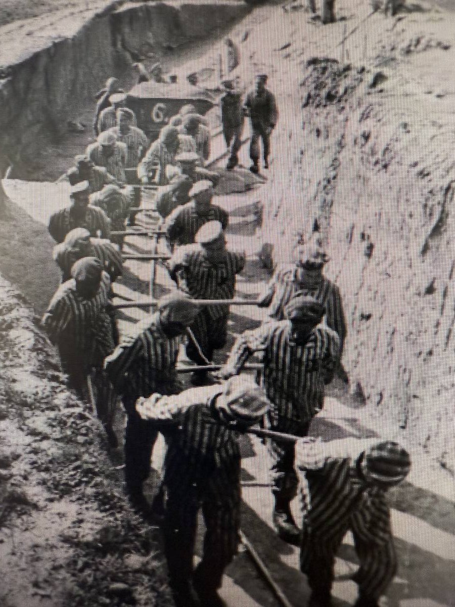 Reclusos del campo realizando trabajos forzados. Foto: Paúl Ricken