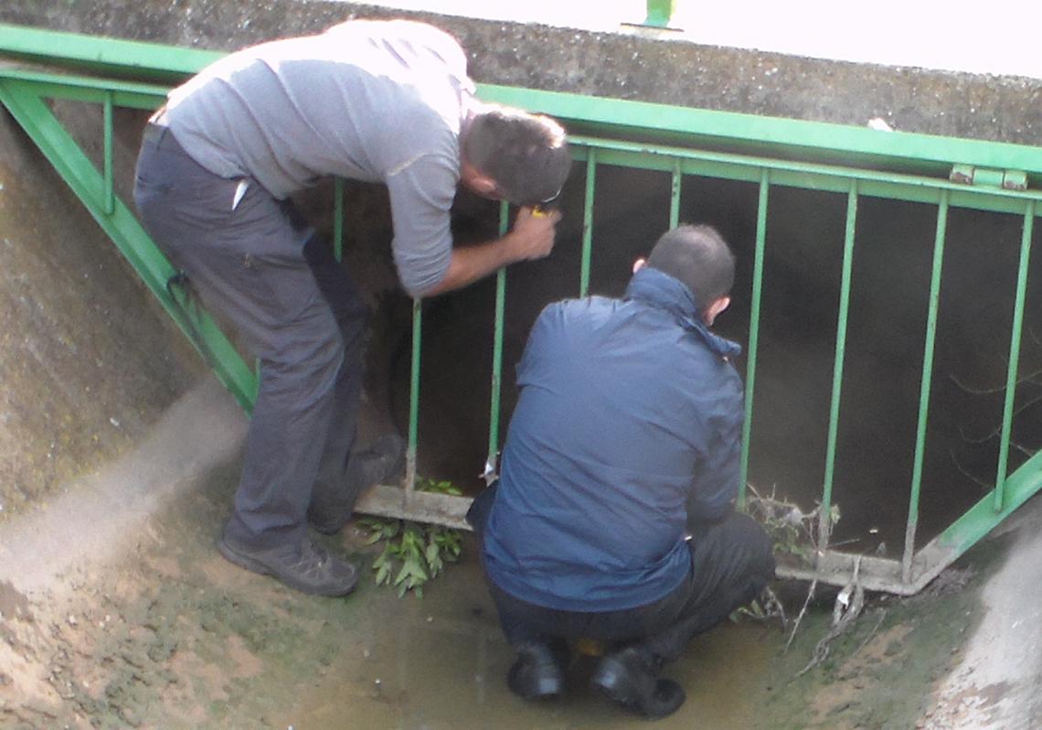 Acequia en la que se encontró el cuerpo sin vida de Pilar.
