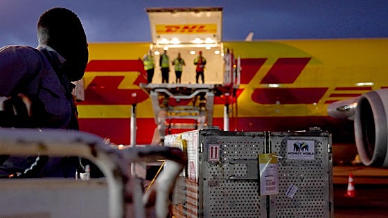 Los juguetes sexuales explosivos con los que Rusia trató de desestabilizar Europa