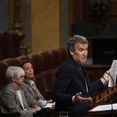 Alberto Núñez Feijóo, líder del PP, en el Congreso