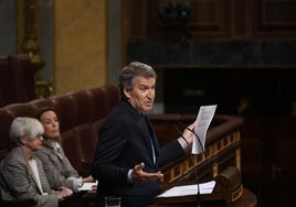Alberto Núñez Feijóo, líder del PP, en el Congreso