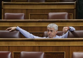 El diputado de EH Bildu Oskar Matute, durante la sesión plenaria de este jueves.