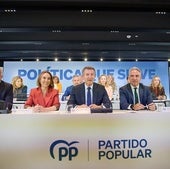 Feijóo preside el Comité de Dirección