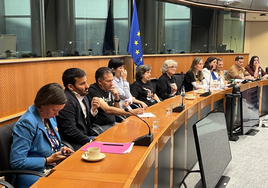Las víctimas de la dana, con europarlamentarios españoles, este martes.