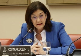 Competencia defiende que hubo un «diálogo intenso» con todas las partes en su análisis de la opa