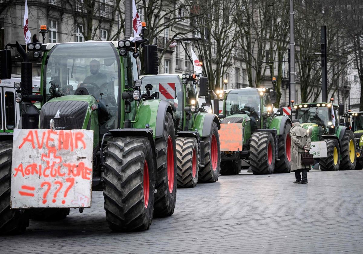 Bruselas asegura que la simplificación administrativa de la PAC permitirá ahorrar hasta 1.800 millones de euros al año