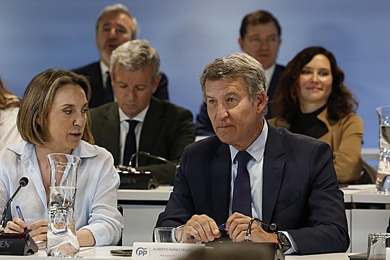 Alberto Núñez Feijóo.