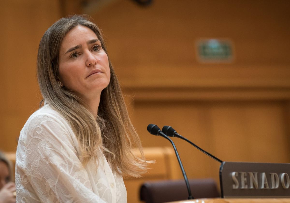 El gobierno se abre a investigar incidentes previos al apagón como piden las eléctricas | las provincias
