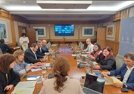Imagen del Consejo Interterritorial del SNS celebrado esta tarde.