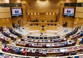 El pleno del Senado.