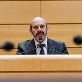 El presidente del Senado, Pedro Rollán.