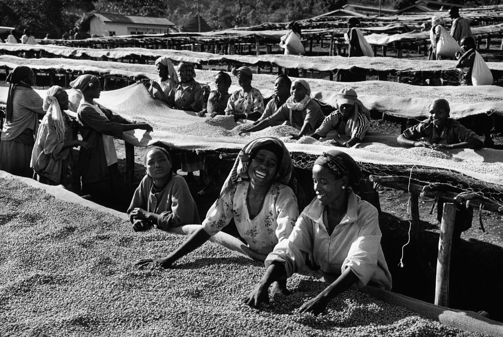 Sebastiao Salgado «Principia» 'nın fotoğraf sergisinde gösterilen fotoğraflardan biri olan birkaç Etiyopya kahve yetiştiricisinin görüntüsü.