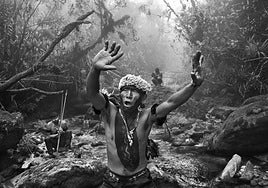 Imagen de la exposición sobre la Amazonía