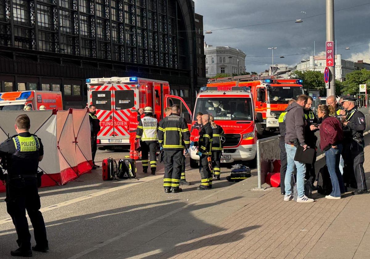 Twelve Injured in Knife Attack at Hamburg's Main Train Station