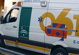 Muere un niño de 10 años tras caer a una piscina durante una excursión escolar en Cádiz