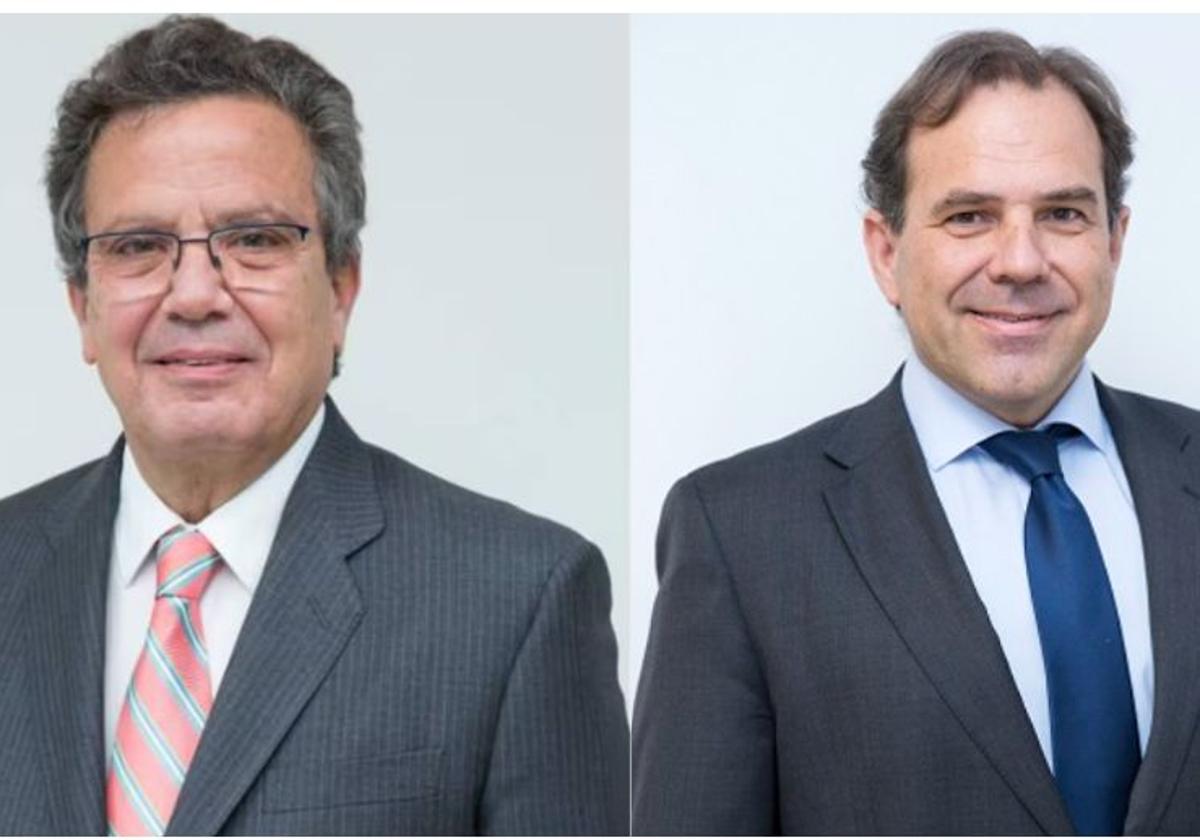 Sareb nombra presidente a Leopoldo Puig tras la dimisión de Javier Torres
