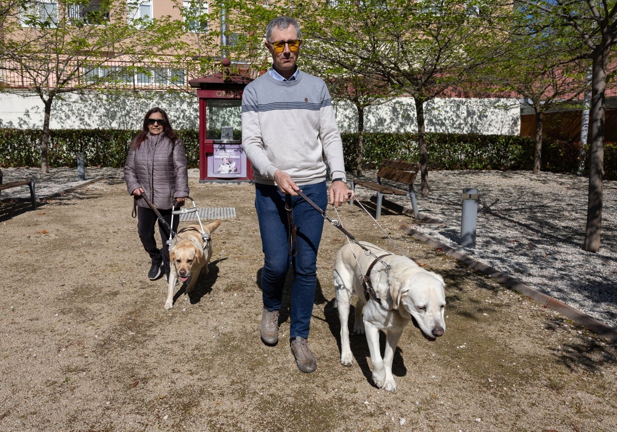 Los perros guía podrán acceder a cualquier espacio abierto al público en todo el país | las provincias