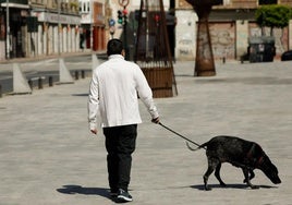 Un hombre pasea a su perro.