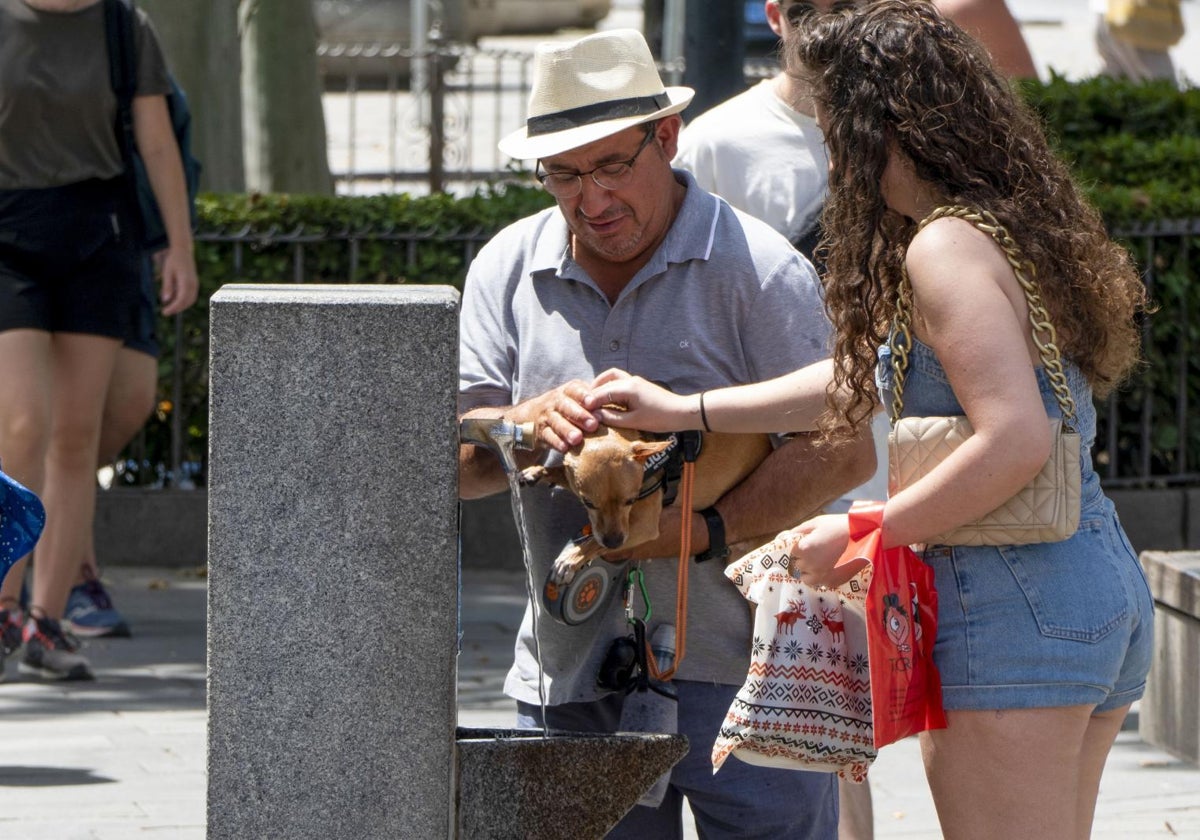 Los dos últimos días de mayo marcaron el récord de calor para ese mes desde 1950 | las provincias