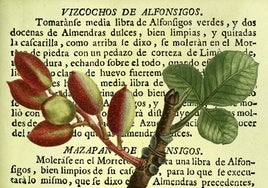 Recetas con pistachos/alfónsigos de Juan de la Mata (1747) e ilustración botánica de hojas y frutos del pistachero (1819).