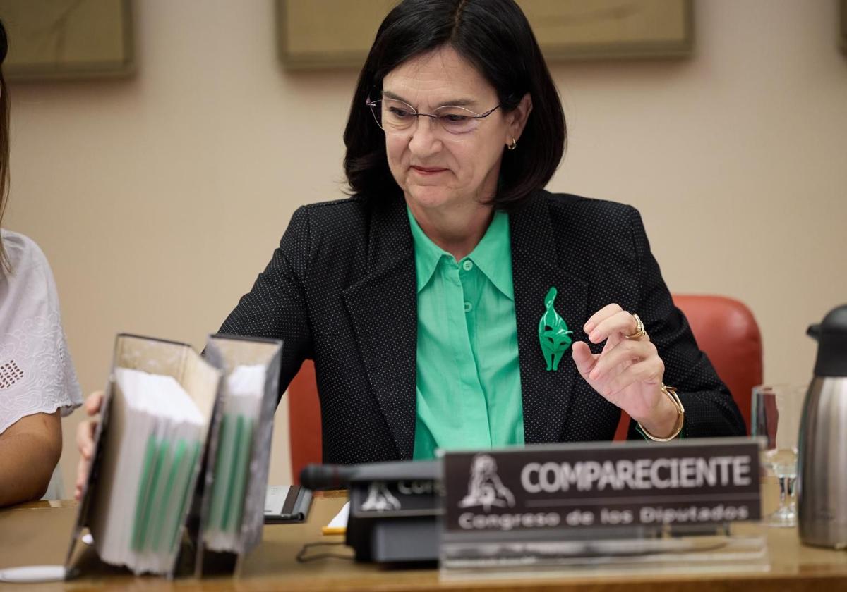 La presidenta de la CNMC, Cani Fernández.