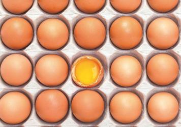 Todo lo que debes saber sobre las proteínas y lo que, de verdad, tomas en los batidos...