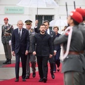 El presidente ucraniano, Volodímir Zelenski, este lunes de visita oficial en Viena.