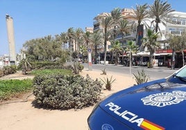 Un coche de la Policía Nacional, en labores de vigilancia en Palma.