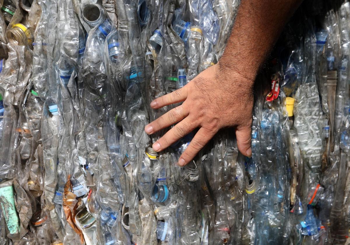 La bacteria E. coli, capaz de convertir el plástico en...