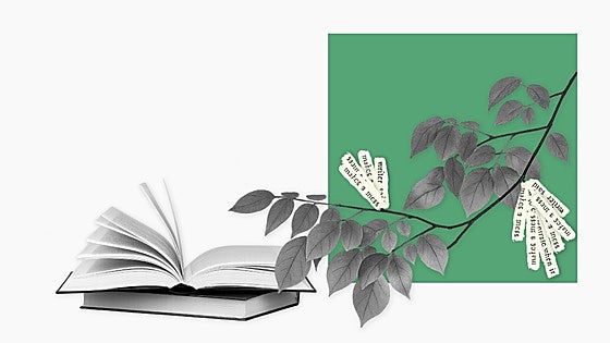 Del bosque al papel. ¿Cuánto CO2 almacena una hoja?