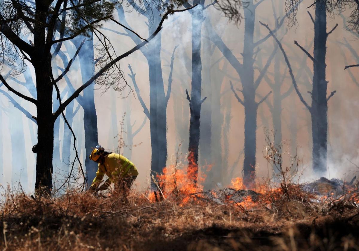 Firefighters work on the Lleida fire.
