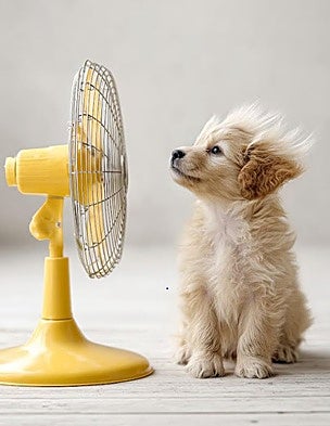 Combate el calor: 10 artículos para estar fresquitos sin gastar de más