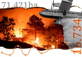 Qué son los incendios de sexta generación o megaincendios
