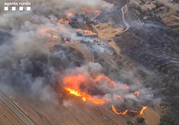  The fire engulfs two farmers in Lleida in the first major fire of the summer 