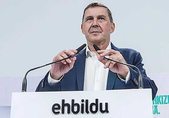 El secretario general de EH Bildu, Arnaldo Otegi, en una comparecencia.