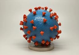 El coronavirus aumenta el depósito de una proteína relacionada con el alzhéimer