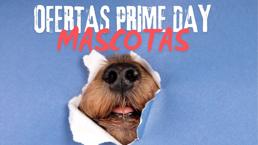 Estas son las mejores ofertas para tu mascota en el Prime Day 2025 de Amazon