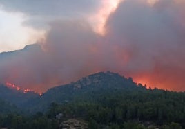 El incendio forestal de Paüls, Tarragona.